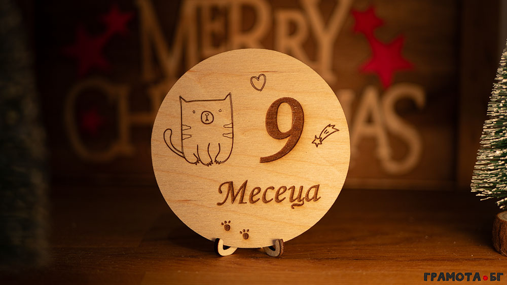 Комплект бебешки месечинки - 9 месеца Комплект бебешки месечинки - 9 месеца