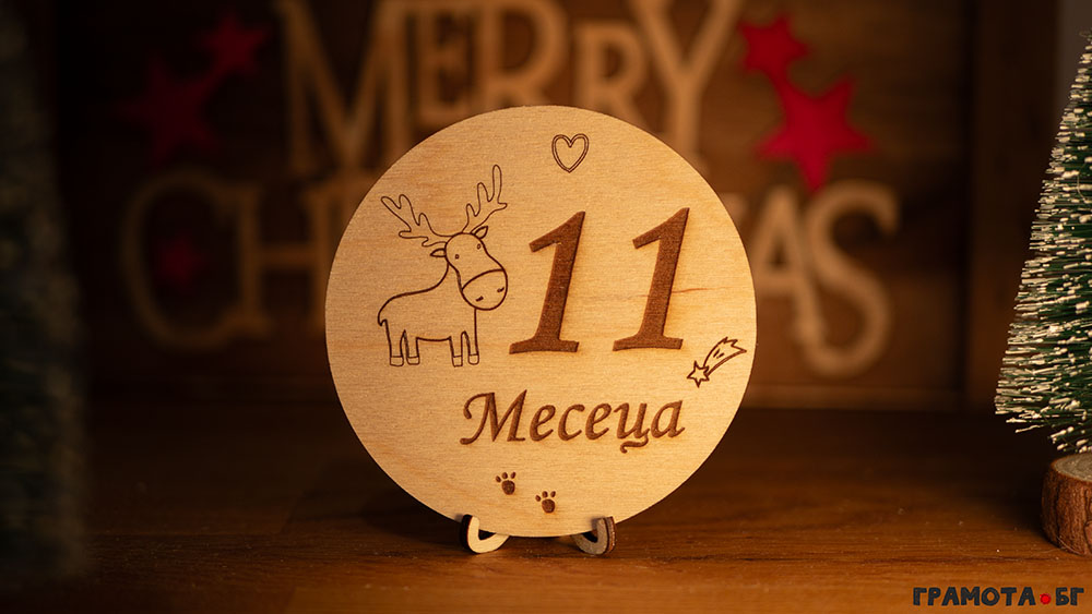 Комплект бебешки месечинки - 11 месеца Комплект бебешки месечинки - 11 месеца